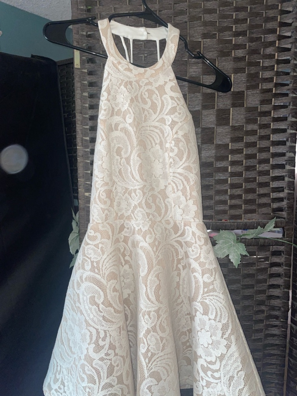 Windsor Cream Lace Backless Halter Dress